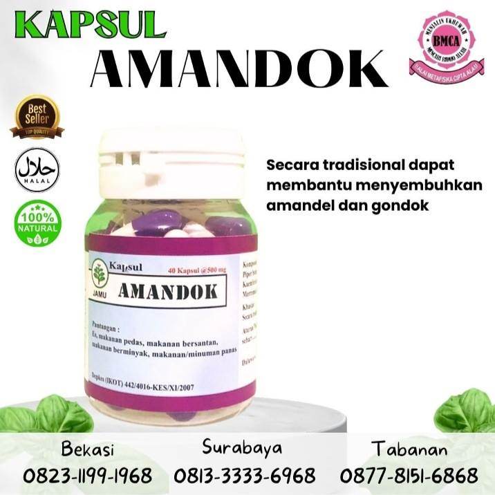 Kapsul Amandok Obat herbal amandel dan gondok