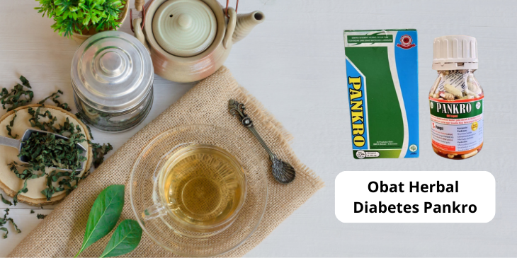 Rekomendasi Obat Herbal Diabetes