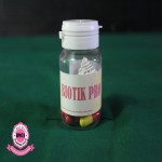 Obat Herbal 