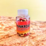 Pankroas Obat Herbal Memperbaiki Sel Beta Pankreas