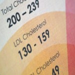 Rekomendasi 5 Tanaman Obat Untuk Mengatasi Kolesterol
